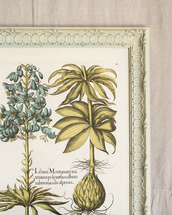 Framed Bessler Botanical 1