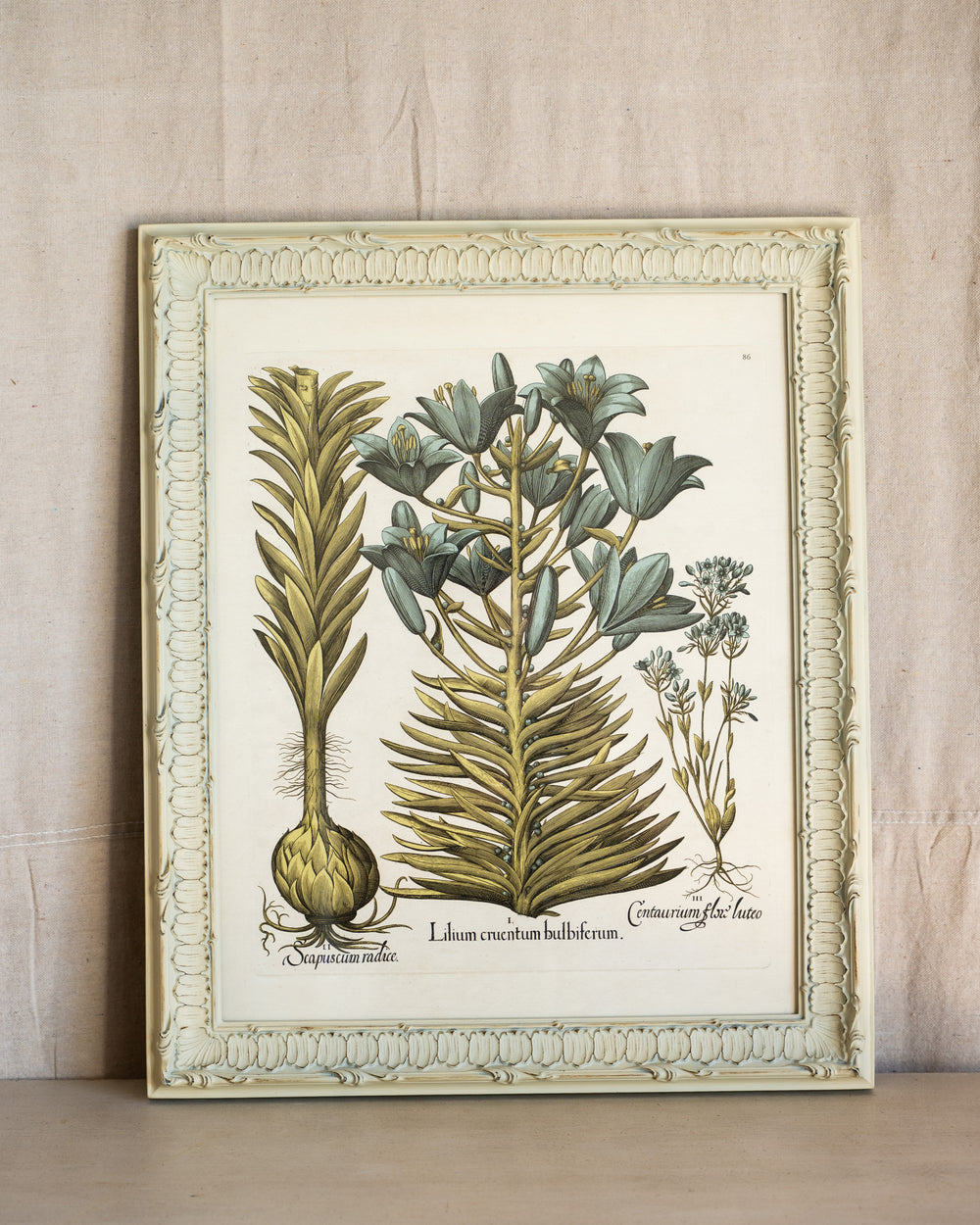 Framed Bessler Botanical 2
