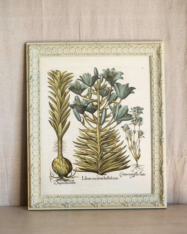 Framed Bessler Botanical 2