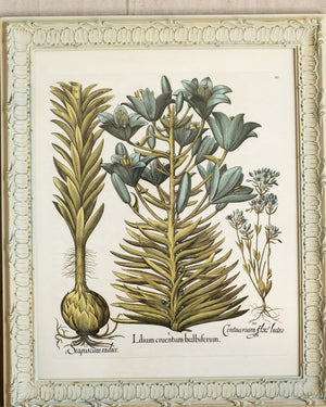 Framed Bessler Botanical 2