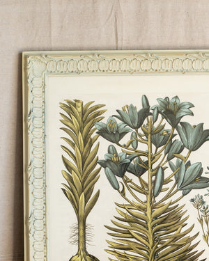 Framed Bessler Botanical 2