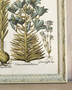 Framed Bessler Botanical 2