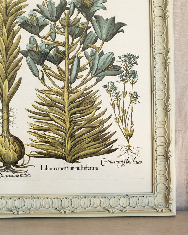 Framed Bessler Botanical 2