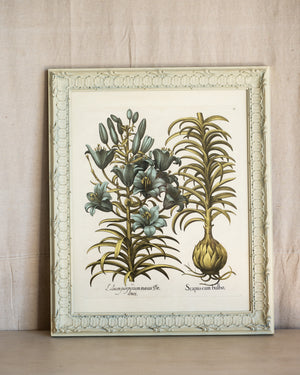 Framed Bessler Botanical 3