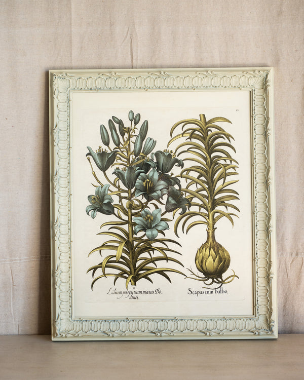 Framed Bessler Botanical 3