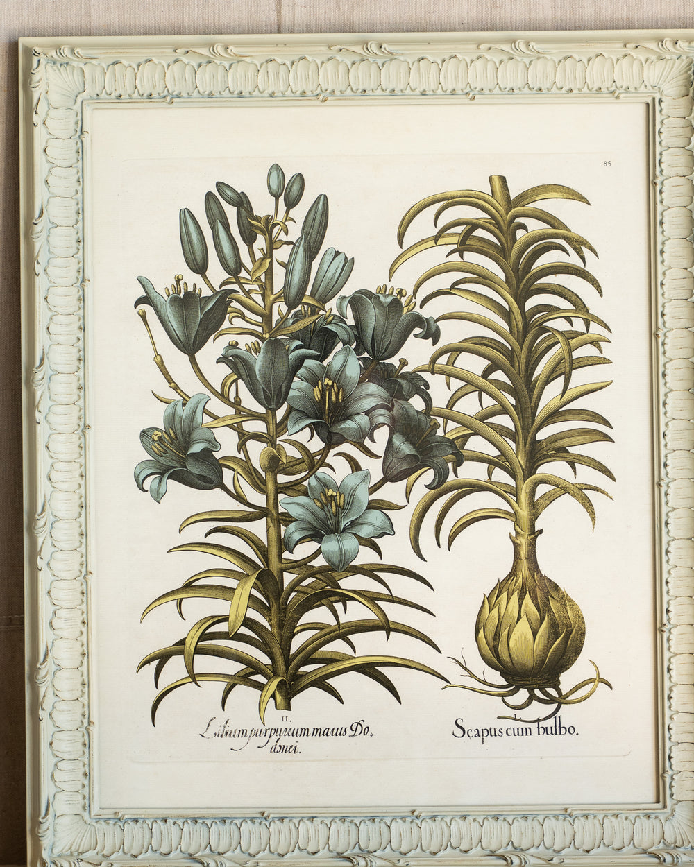 Framed Bessler Botanical 3