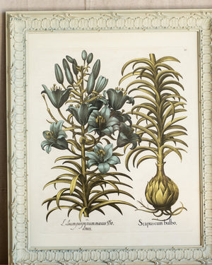 Framed Bessler Botanical 3