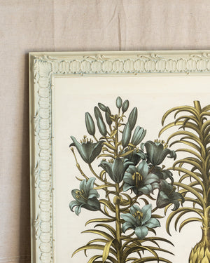 Framed Bessler Botanical 3