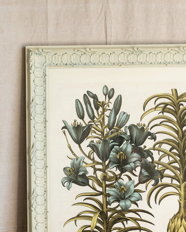 Framed Bessler Botanical 3