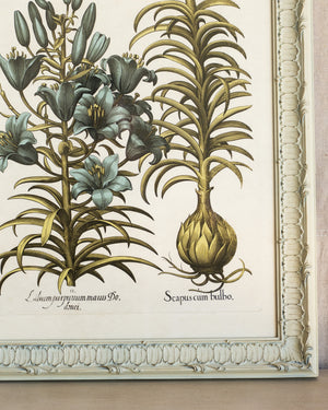 Framed Bessler Botanical 3