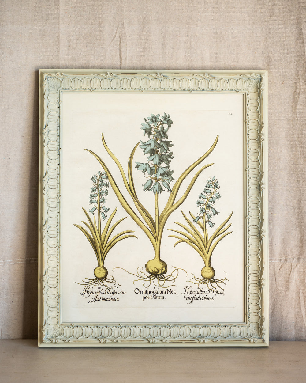 Framed Bessler Botanical 4
