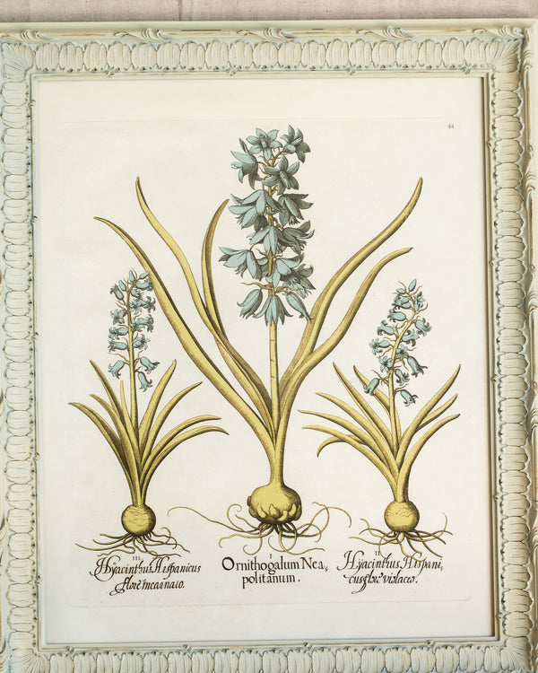 Framed Bessler Botanical 4