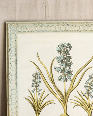 Framed Bessler Botanical 4