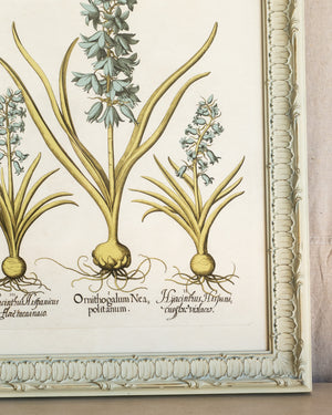 Framed Bessler Botanical 4