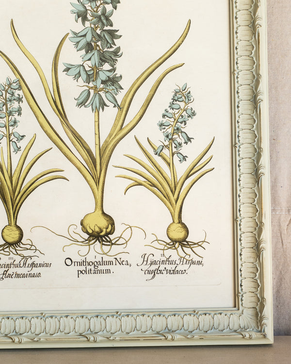 Framed Bessler Botanical 4