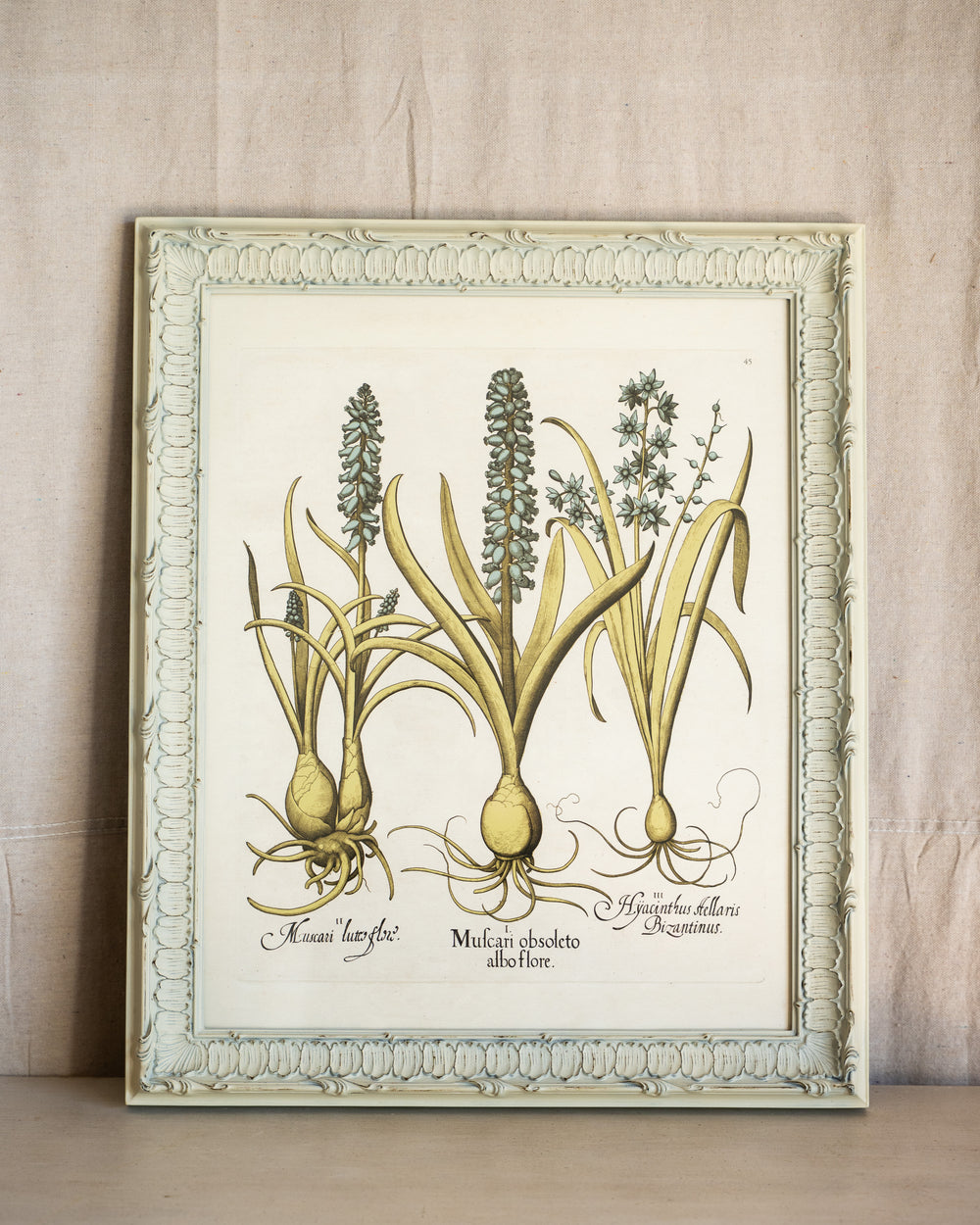 Framed Bessler Botanical 5