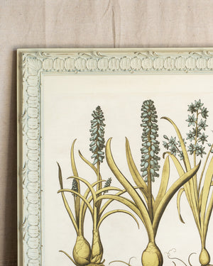 Framed Bessler Botanical 5