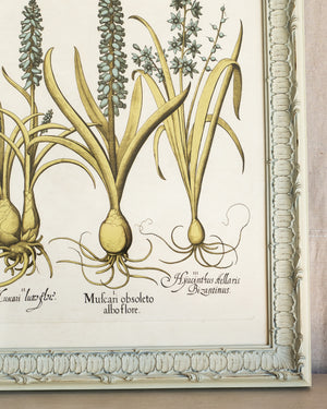 Framed Bessler Botanical 5
