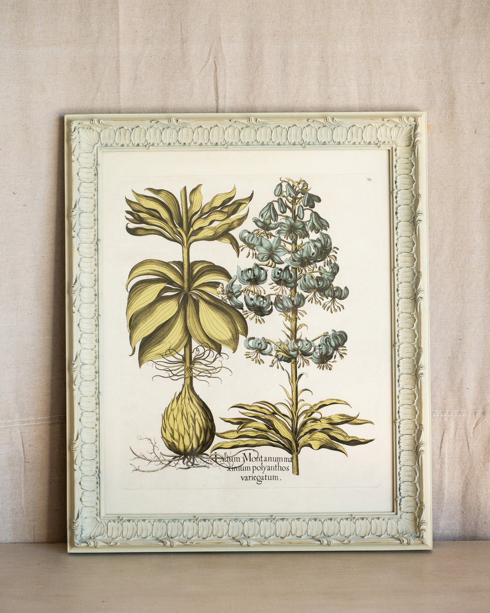 Framed Bessler Botanical 6