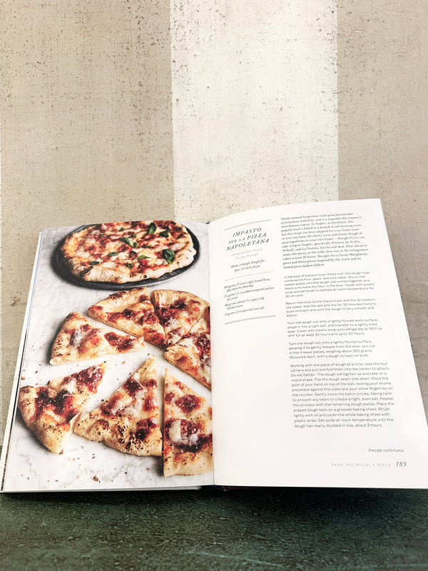 Food of the Italian South: Recipes for Classic, Disappearing, and Lost Dishes