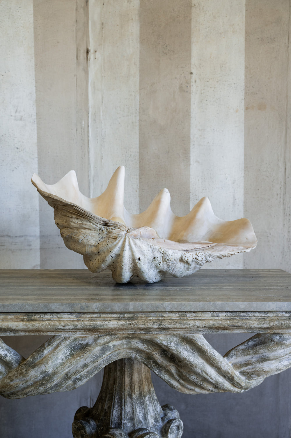 Vintage Calcoro Shell