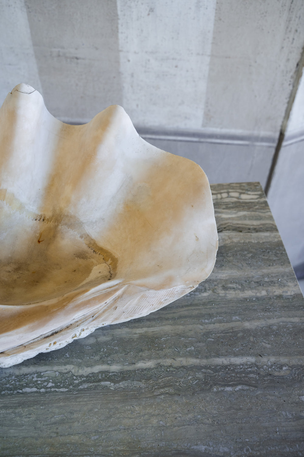 Vintage Calcoro Shell