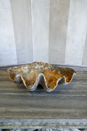 Vintage Caspi Shell