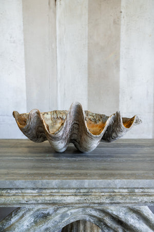 Vintage Caspi Shell