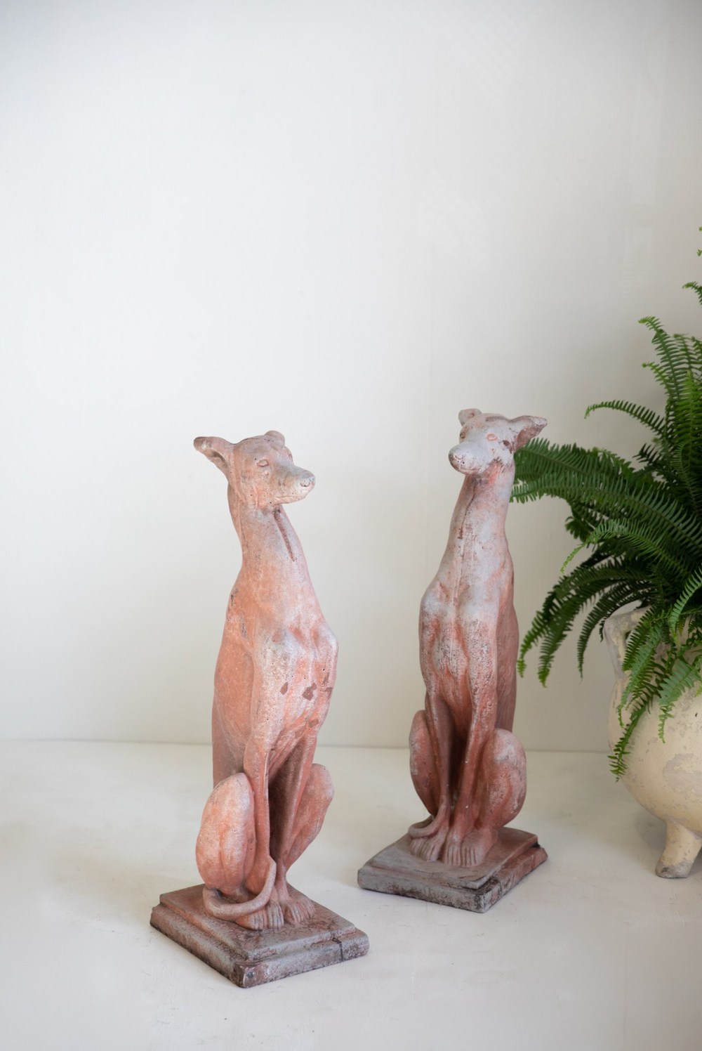 Dante Italian Terracotta Greyhound