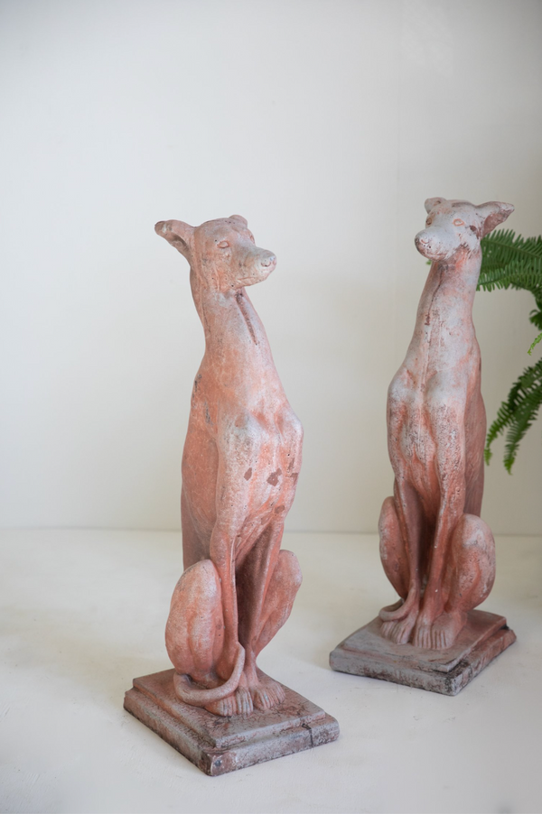 Dante Italian Terracotta Greyhound