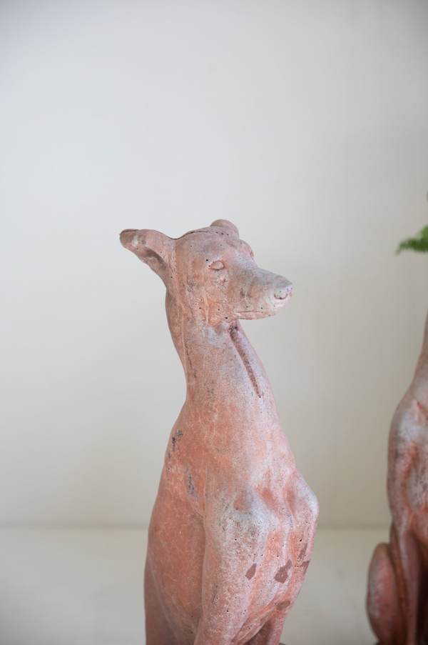 Dante Italian Terracotta Greyhound