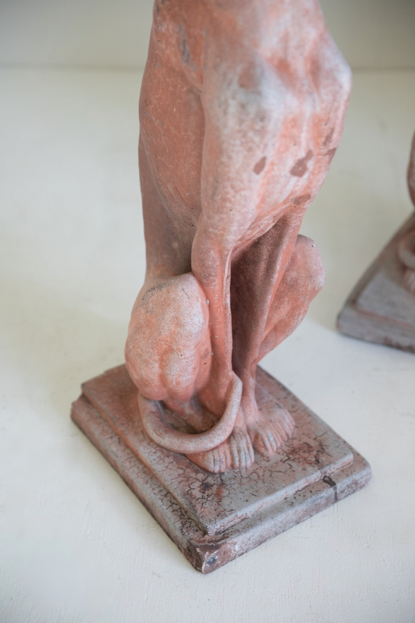 Dante Italian Terracotta Greyhound