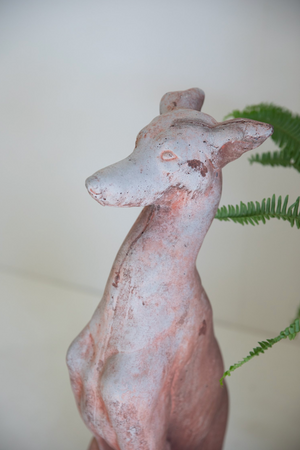 Dante Italian Terracotta Greyhound