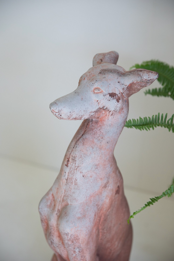 Dante Italian Terracotta Greyhound