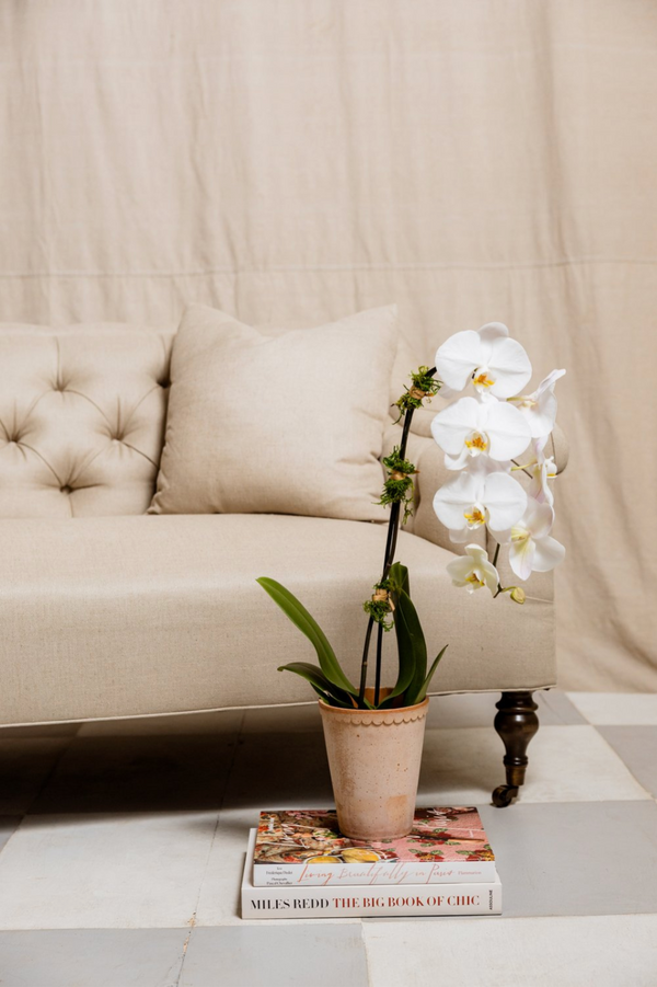 Elizabeth Cream Tufted Sofa