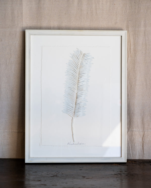 Dried Frond 2