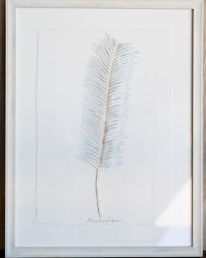 Dried Frond 2