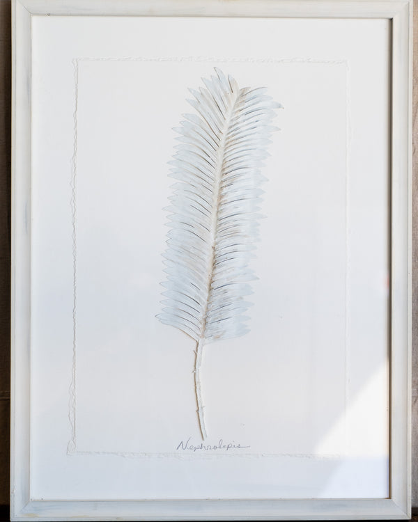 Dried Frond 2
