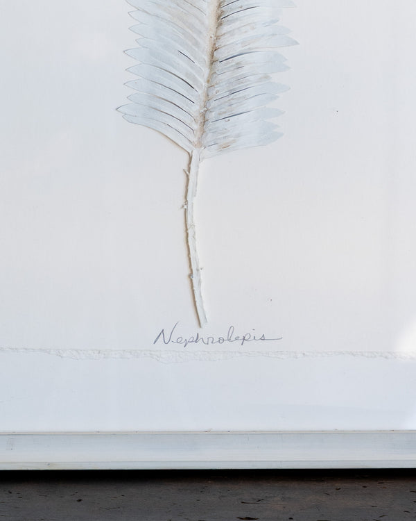 Dried Frond 2