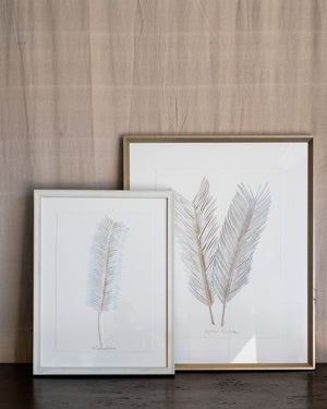 Dried Frond 2