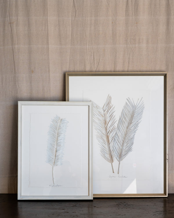 Dried Frond 2