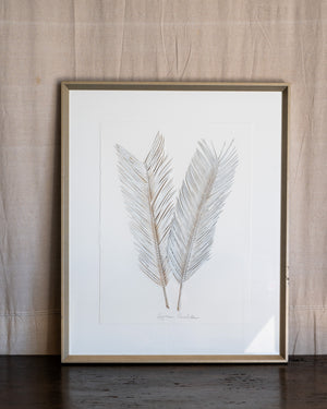 Dried Frond 3