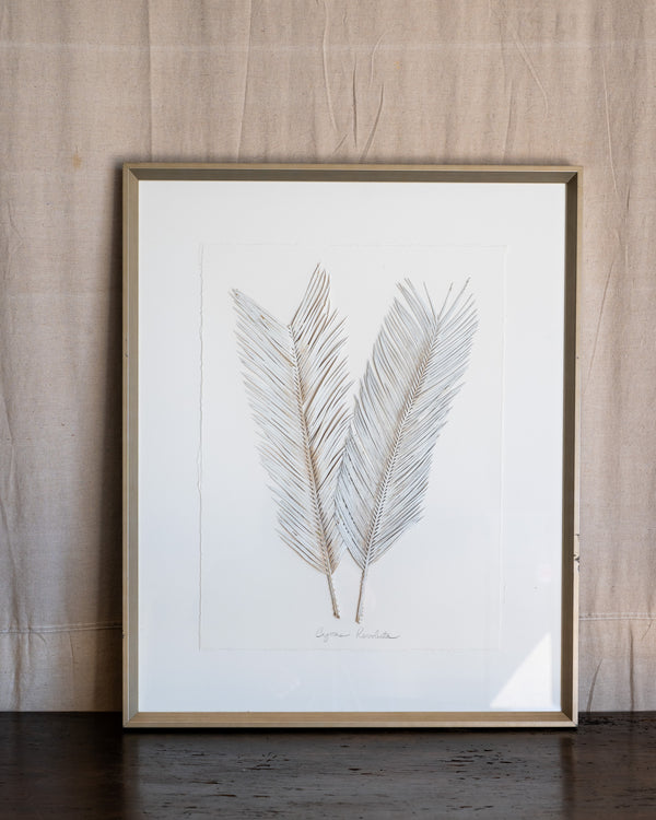 Dried Frond 3
