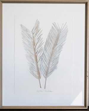 Dried Frond 3
