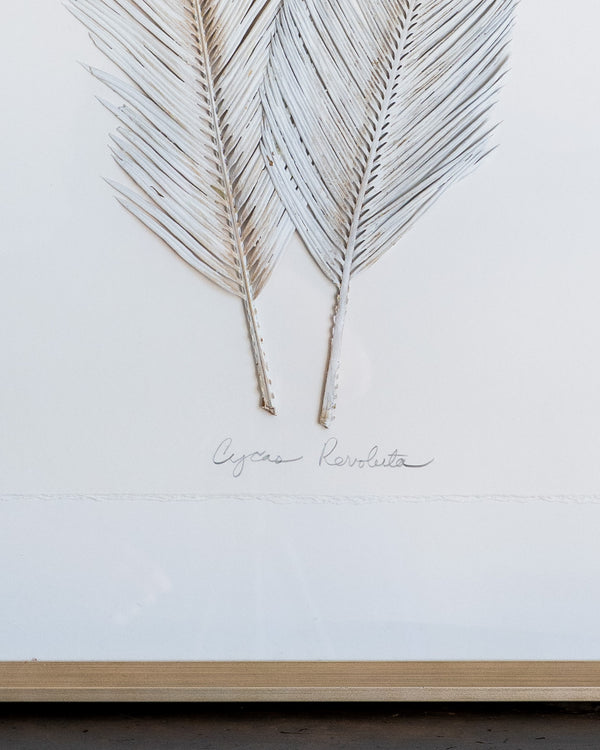 Dried Frond 3