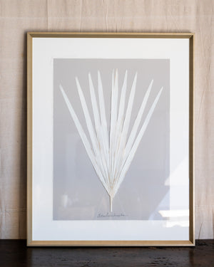 Dried Frond 4