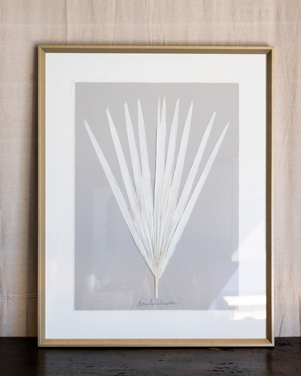Dried Frond 4