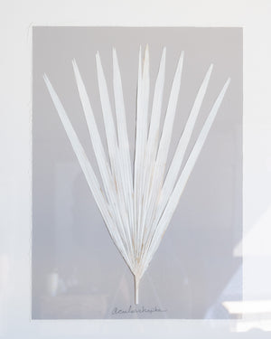 Dried Frond 4