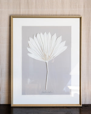 Dried Frond 5