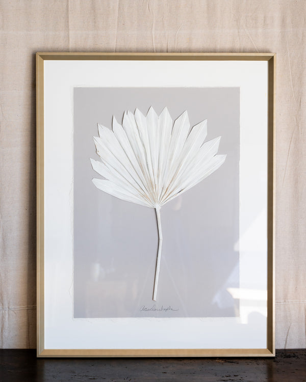Dried Frond 5